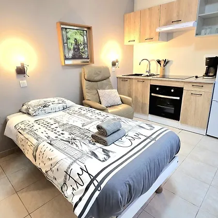 Apartment Residences Les Sansonnets 